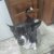 Avatar di Katia cri