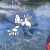 Avatar Void Scum