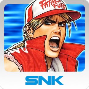 Cover Fatal Fury Special