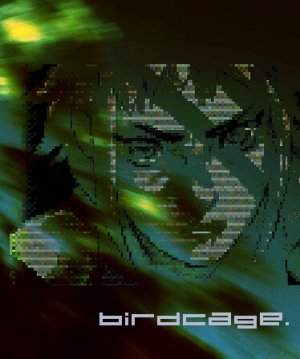 Cover BIRDCAGE