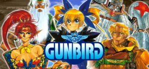 Cover GunBird (Zerodiv)