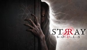 Cover Stray Souls