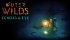 Cover Outer Wilds: Echoes of the Eye per PC