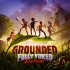 Cover Grounded