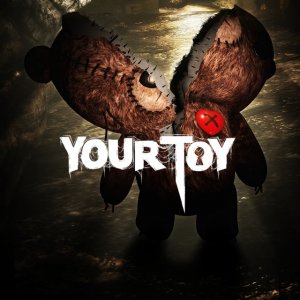 Cover Your Toy