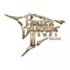 Cover Panzer Dragoon II Zwei: Remake - Xbox Series X|S