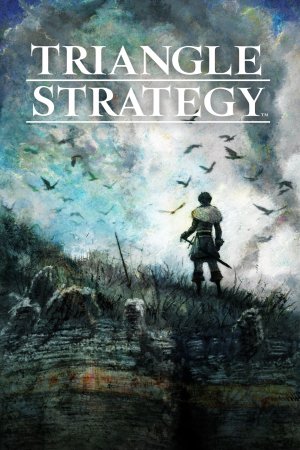 Cover Triangle Strategy