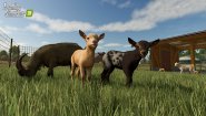 Immagine Farming Simulator 25 (Mac)