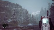 Immagine Winter Survival (PC)