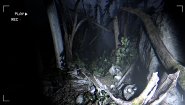 Immagine Together After Dark (PC)