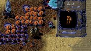 Immagine WarBreeds (PC)