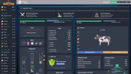 Immagine Melvor Idle (Linux)