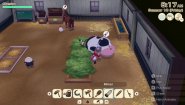 Immagine Story of Seasons: Grand Bazaar (PC)