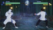 Immagine Fighters Legacy (PC)