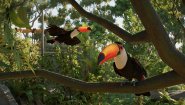 Immagine Planet Zoo 2 (Xbox Series X|S)