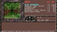 Immagine Dungeons & Dragons: Krynn Series (PC)