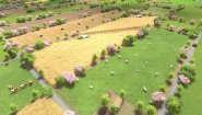 Immagine Global Farmer (PC)