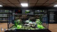 Immagine Aquarist (Xbox Series X|S)