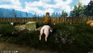 Immagine Farmer's Life (PC)