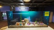 Immagine Immagine Aquarist Xbox Series X|S