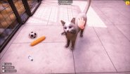 Immagine Animal Shelter 2 (PC)