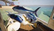 Immagine UMIGARI (PC)