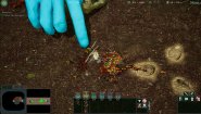 Immagine Empires of the Undergrowth (Mac)