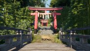 Immagine Immagine Sengoku Dynasty PC