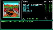 Immagine Champions of Krynn (PC)