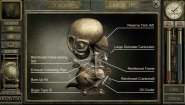 Immagine Immagine Garage: Bad Dream Adventure PC