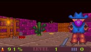 Immagine WILD WEST (PC)