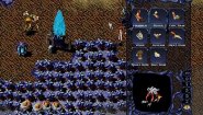 Immagine WarBreeds (PC)