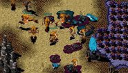 Immagine WarBreeds (PC)