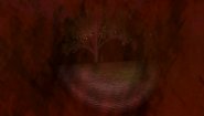 Immagine Midnight Echo (Mac)