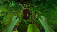 Immagine Immagine THE SOUL OF TOO BIRDS GAME PC