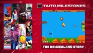 Immagine Taito Milestones 2 (Nintendo Switch)