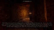 Immagine AsHes (PC)