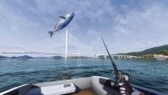 Immagine Real VR Fishing (PC)