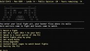 Immagine Warsim: The Realm of Aslona (PC)