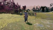 Immagine Immagine RuneQuest: Warlords PC