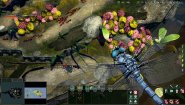 Immagine Empires of the Undergrowth (Mac)