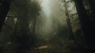 Immagine Immagine The Occultist PS5