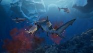 Immagine Maneater 2 (PS5)