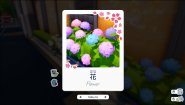 Immagine Shashingo: Learn Japanese with Photography (Nintendo Switch)