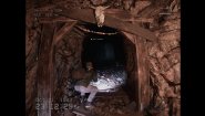 Immagine DON'T SCREAM TOGETHER (PC)