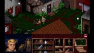 Immagine Veil of Darkness (PC)