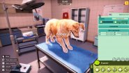 Immagine Animal Shelter 2 (PC)