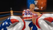 Immagine Virtual Boxing League (PC)