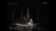 Immagine DON'T SCREAM TOGETHER (PC)