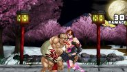Immagine Immagine Strip Fighter 5: Chimpocon Edition PC